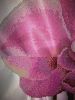 image_jpeg_67bd3085b50e8fe080a94a91fae8163d.jpg