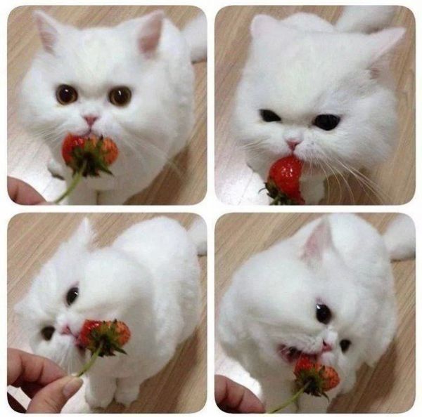 Аватар julvf