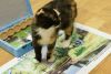 -DSC01224.JPG