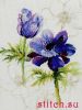 Lanarte 34852 (PN-0008028), Анемоны (Anemone)