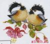 Heritage 777, Fuchsia Chick-Chat
