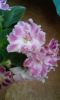 20160620_091810.jpg