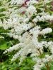 20160712_113714.jpg