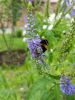20160712_113801.jpg