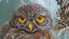 20160712_180758_resized.jpg