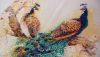 20160718_142702.jpg