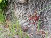20160722_112108.jpg