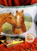 56223652_Horse2.jpg