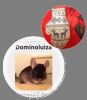 коллаж Dominoluiza.jpg