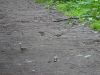 DSC02355.JPG