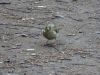DSC02360.JPG