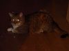 DSC02434.JPG