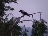 DSC02457.JPG