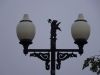 DSC02462.JPG