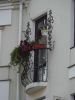 DSC02499.JPG