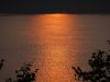 DSC02521.JPG