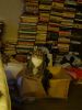 DSC02540.JPG