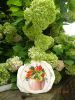 DSC03759.jpg