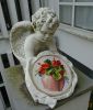 DSC03780.jpg