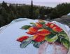 DSC03859.jpg