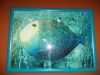 DSC04192.JPG
