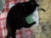 DSCF0459.JPG