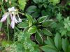 DSCN3173.JPG