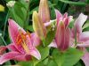 DSCN3182.JPG