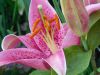 DSCN3183.JPG