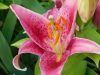 DSCN3185.JPG