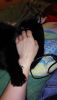 IMG_20141027_055440.jpg