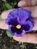 IMG_20160701_144157.thumb.jpg.7b8e4f4310