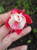 IMG_20160701_152346.jpg