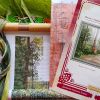 IMG_20160720_184851.jpg