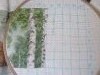 IMG_2324.thumb.JPG.94f673b70086294ecef96