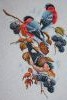 IMG_6527.thumb.JPG.d3e663bbc07f5fb8a214f