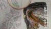 QcAXDEtDC_8.thumb.jpg.82a0d54079c4637f5e