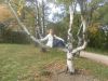 SAM_0582.JPG
