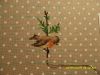 SDC17387.JPG