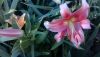 WIN_20160701_19_12_56_Pro.jpg