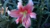 WIN_20160701_19_13_04_Pro.jpg