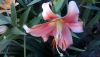 WIN_20160701_19_14_18_Pro.jpg