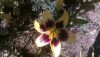 WIN_20160703_16_19_03_Pro.jpg