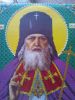 WP_000570.jpg