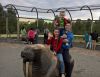 WP_20160706_16_18_38_Pro.jpg