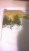 WP_20160722_005.jpg