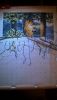 WP_20160731_21_40_49_Pro.jpg
