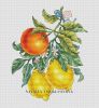 146152-855e9-96391868-m750x740-ub1122.jpg