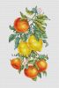 146152-b1255-96391870-m750x740-uf2bfd.jpg