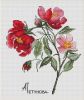 Петунова Анна #14660, Краски лета